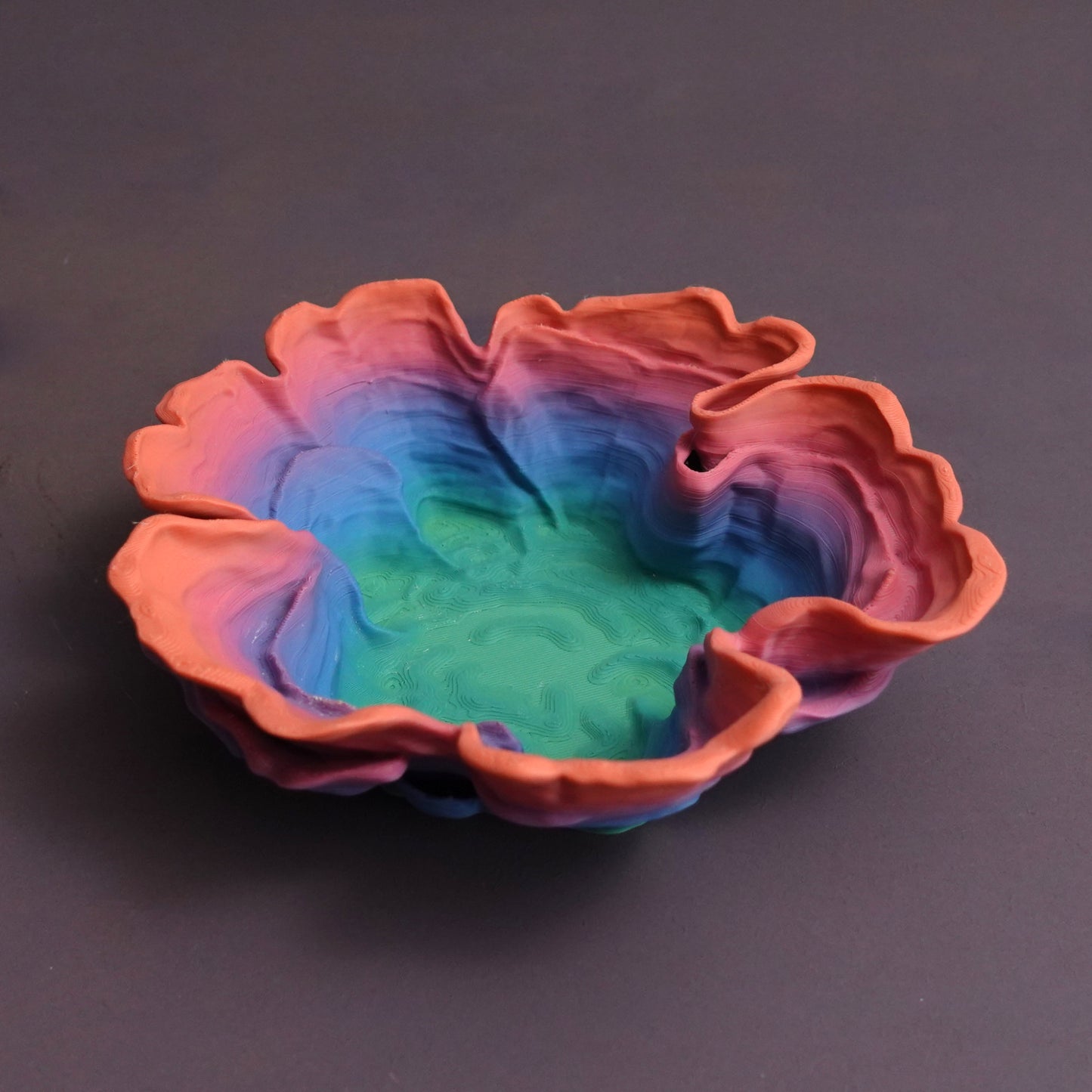 Strereum Hirsutum Fungus