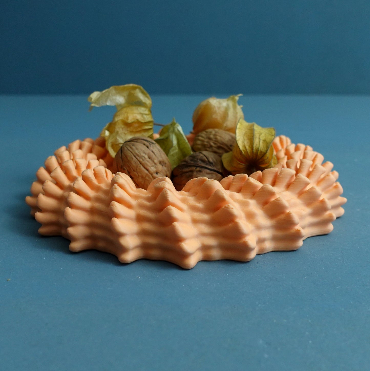 Heliopora Coral