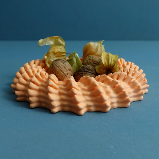 Heliopora Coral