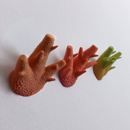 Caliendrum Coral Hooks (set of 3)