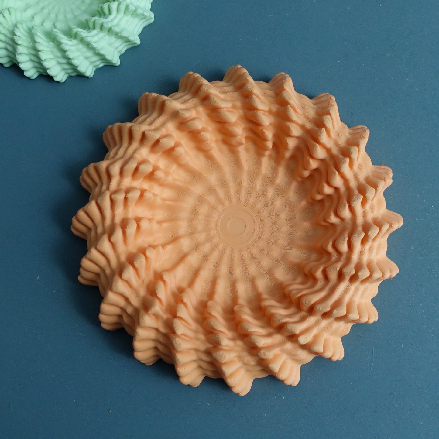 Heliopora Coral