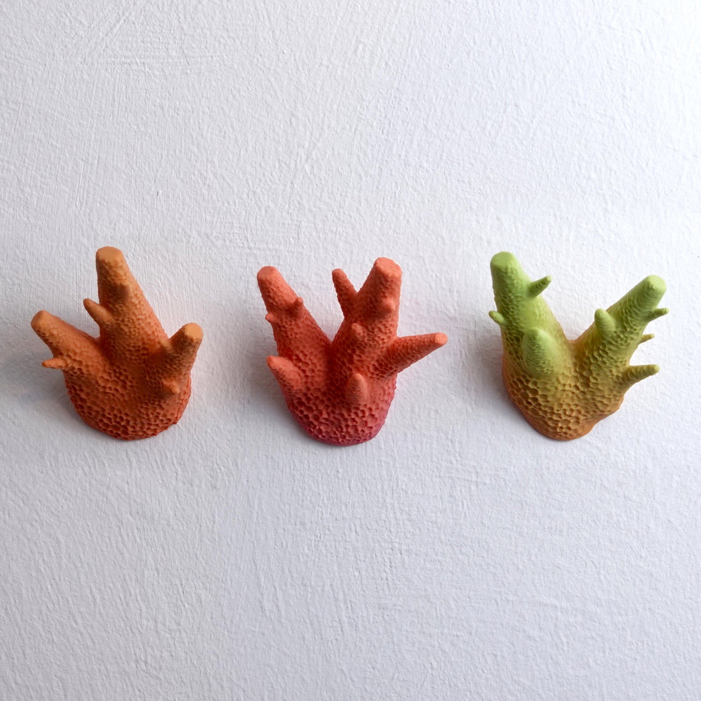Caliendrum Coral Hooks (set of 3)