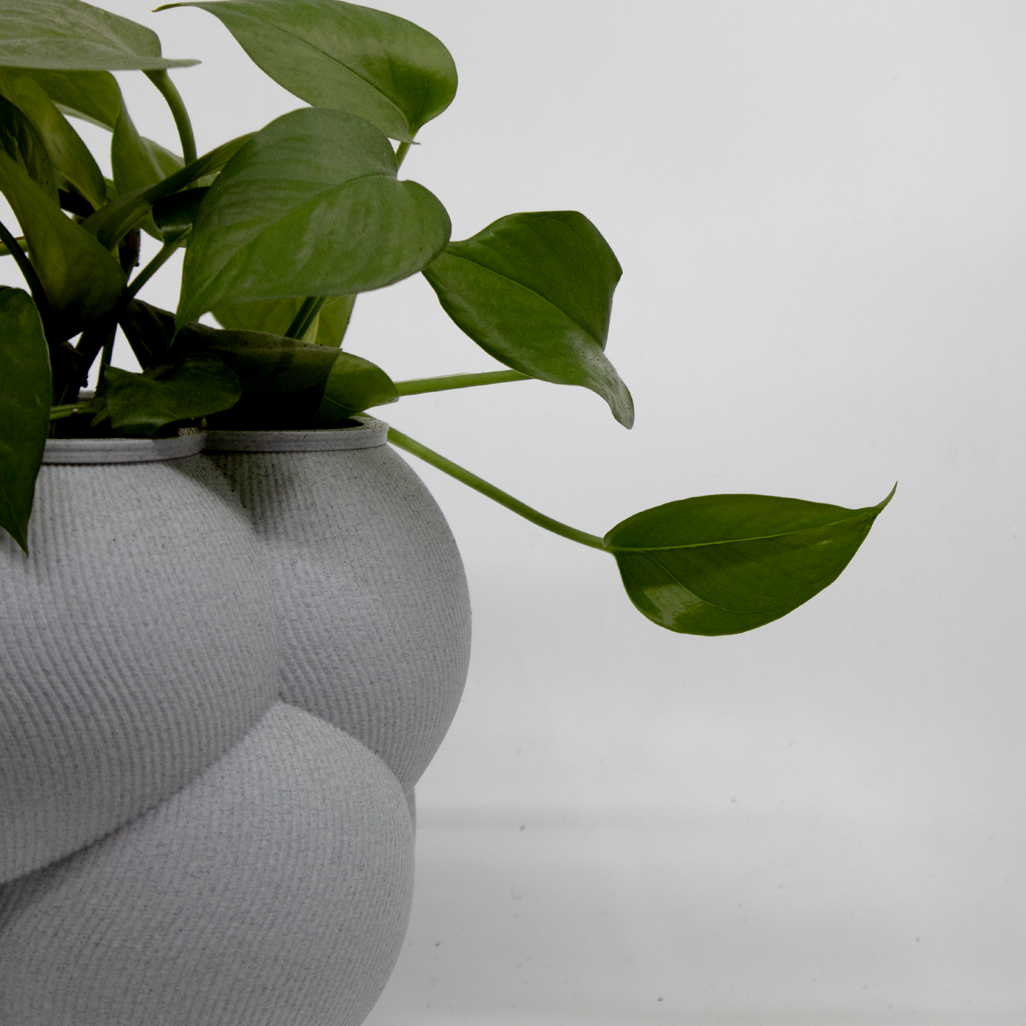 Bubble Cloud Planter