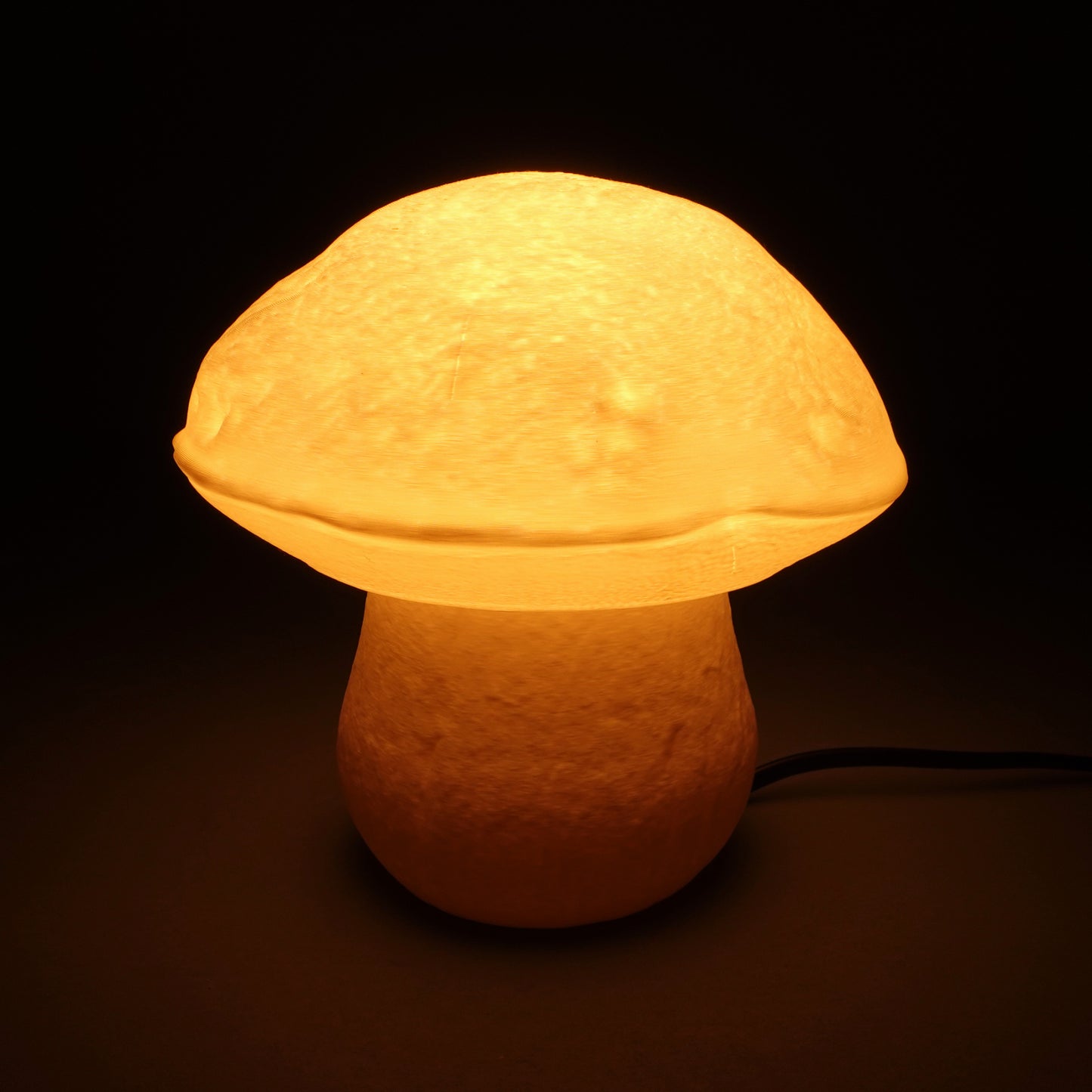 Boletus Edulis Fungus Lamp