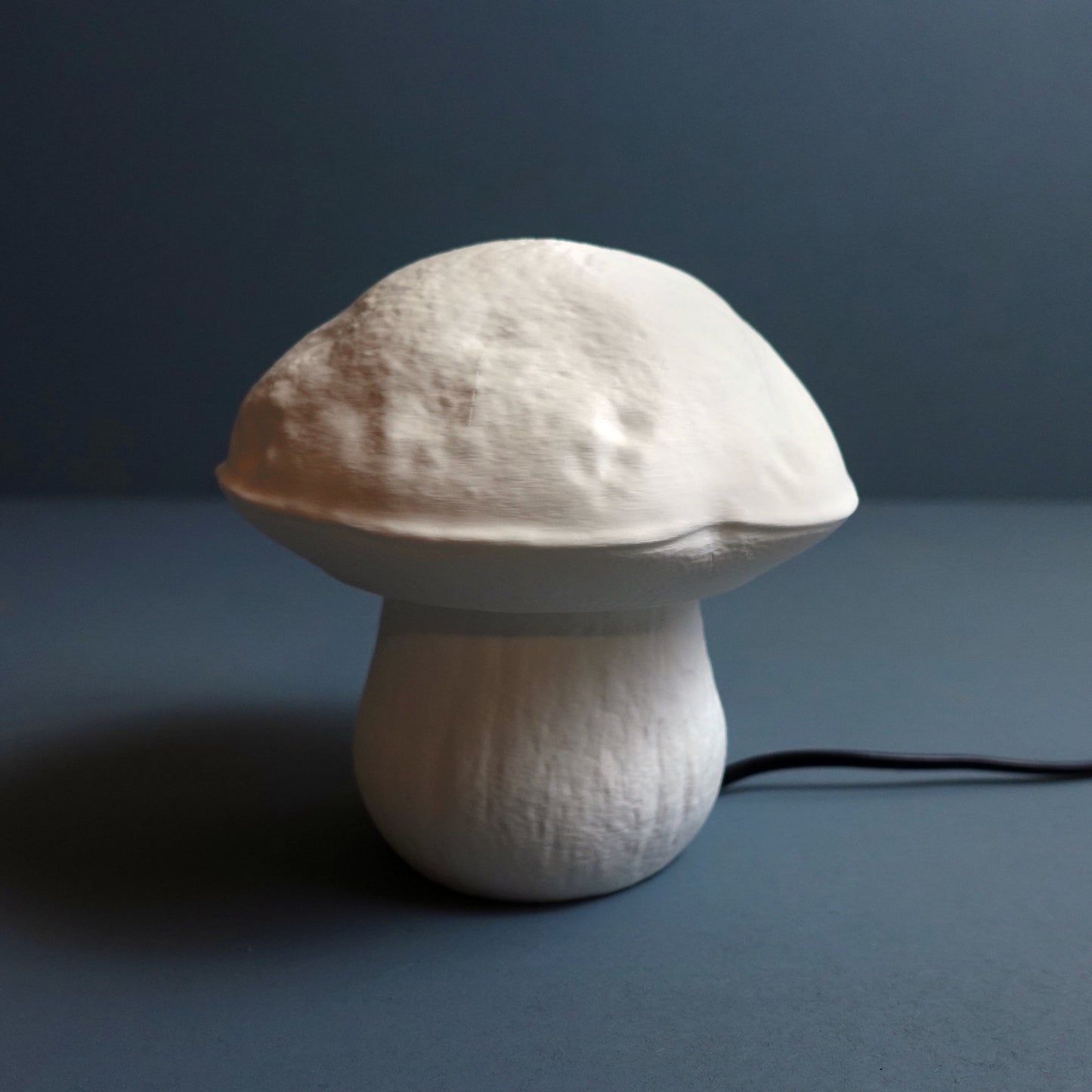 Boletus Edulis Fungus Lamp