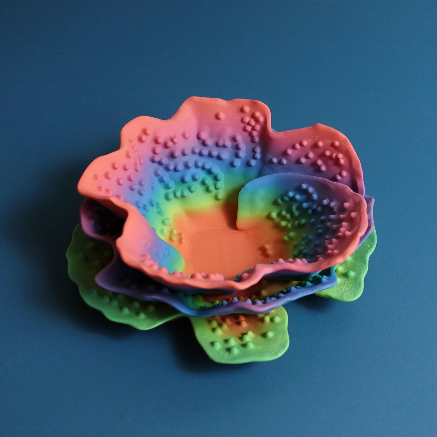 Turbinaria Reniformis Coral
