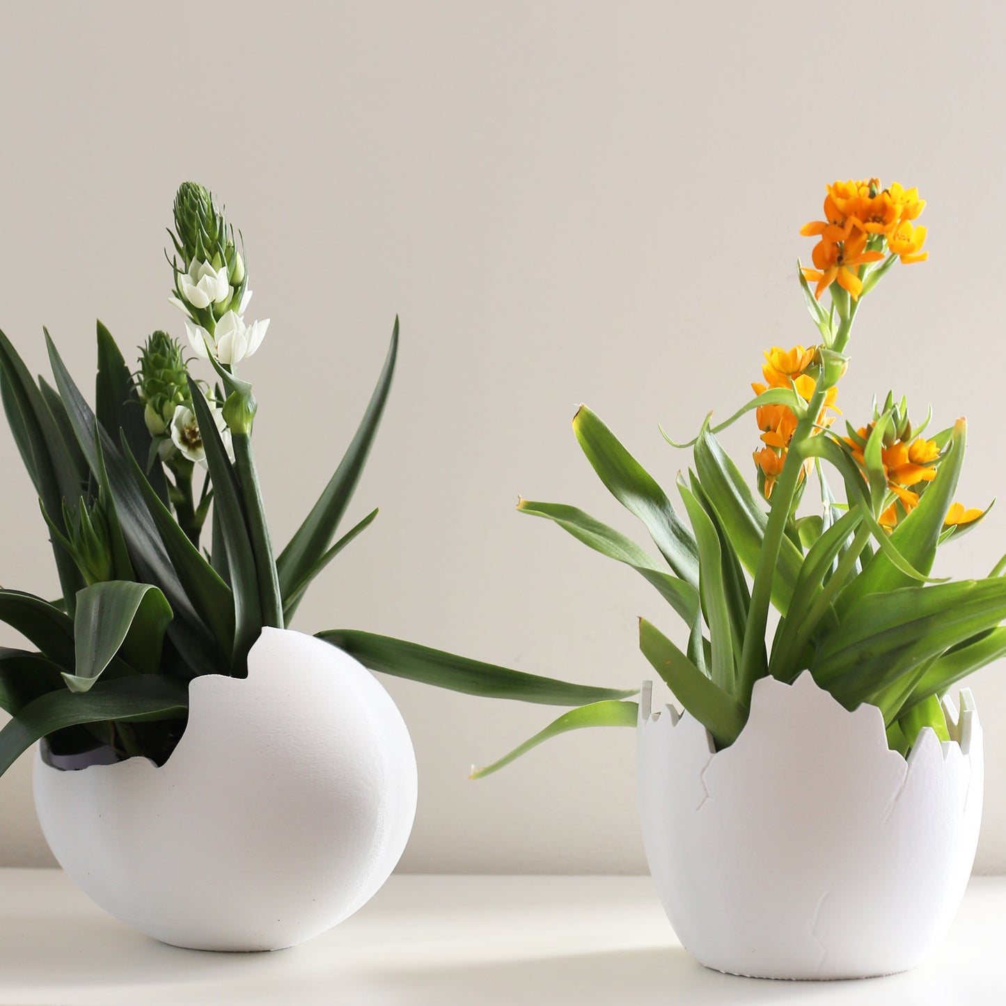 The Calimero Planter