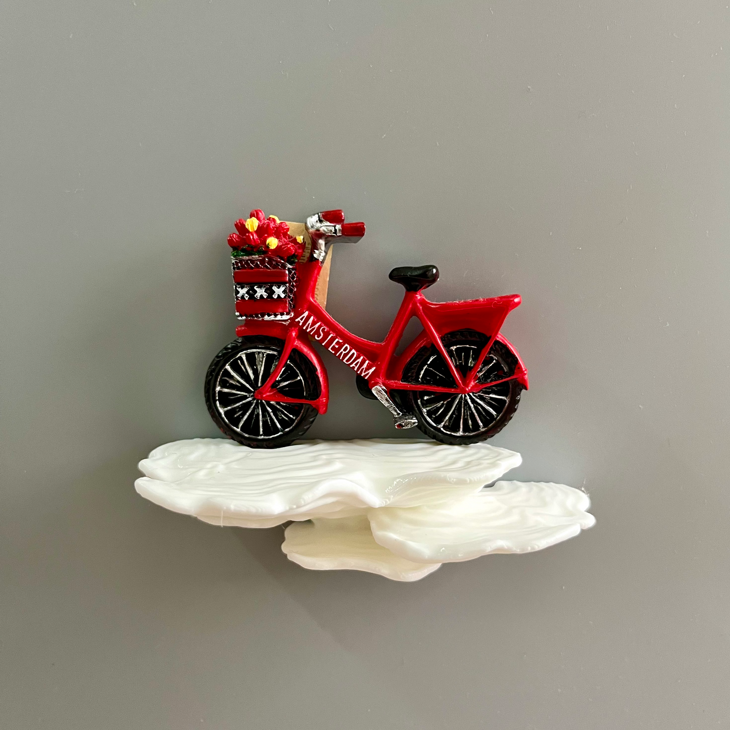Fungus Fridge Magnets