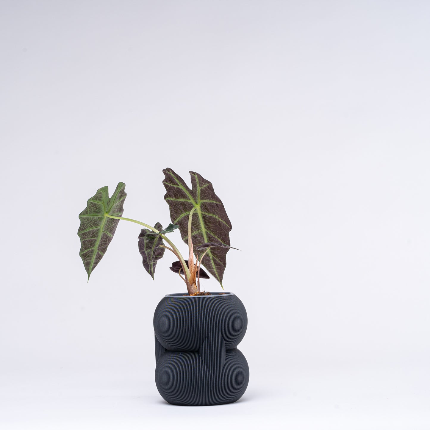 83 Planter