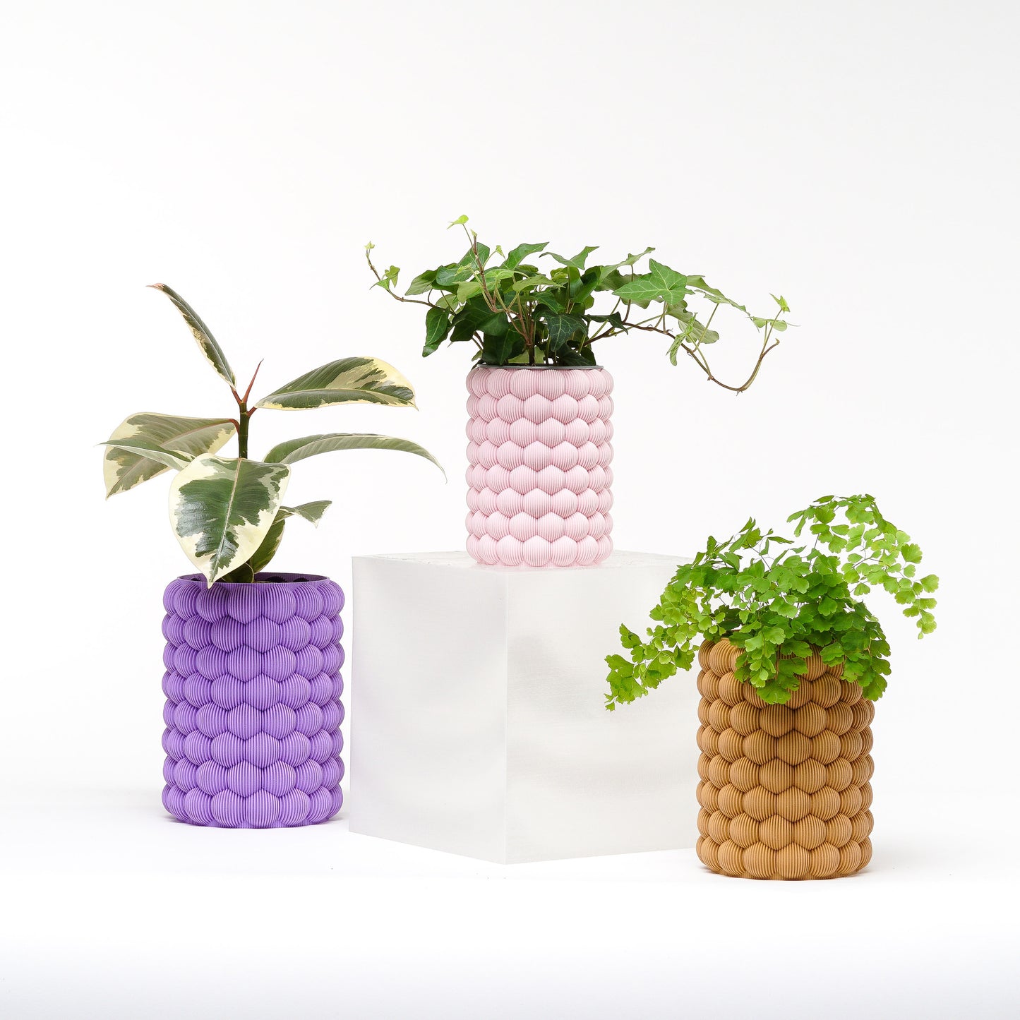 Blobs Planter