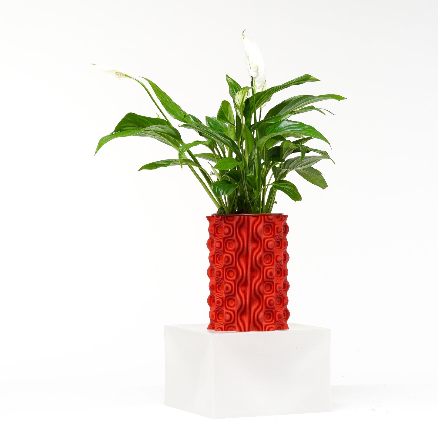 Cosin Planter