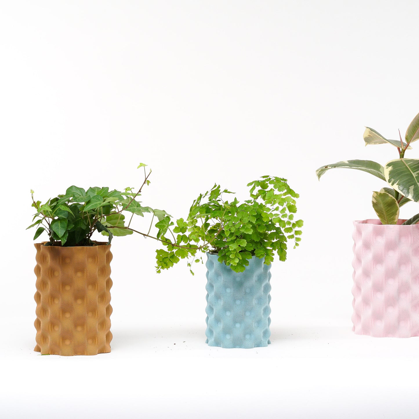 Cosin Planter
