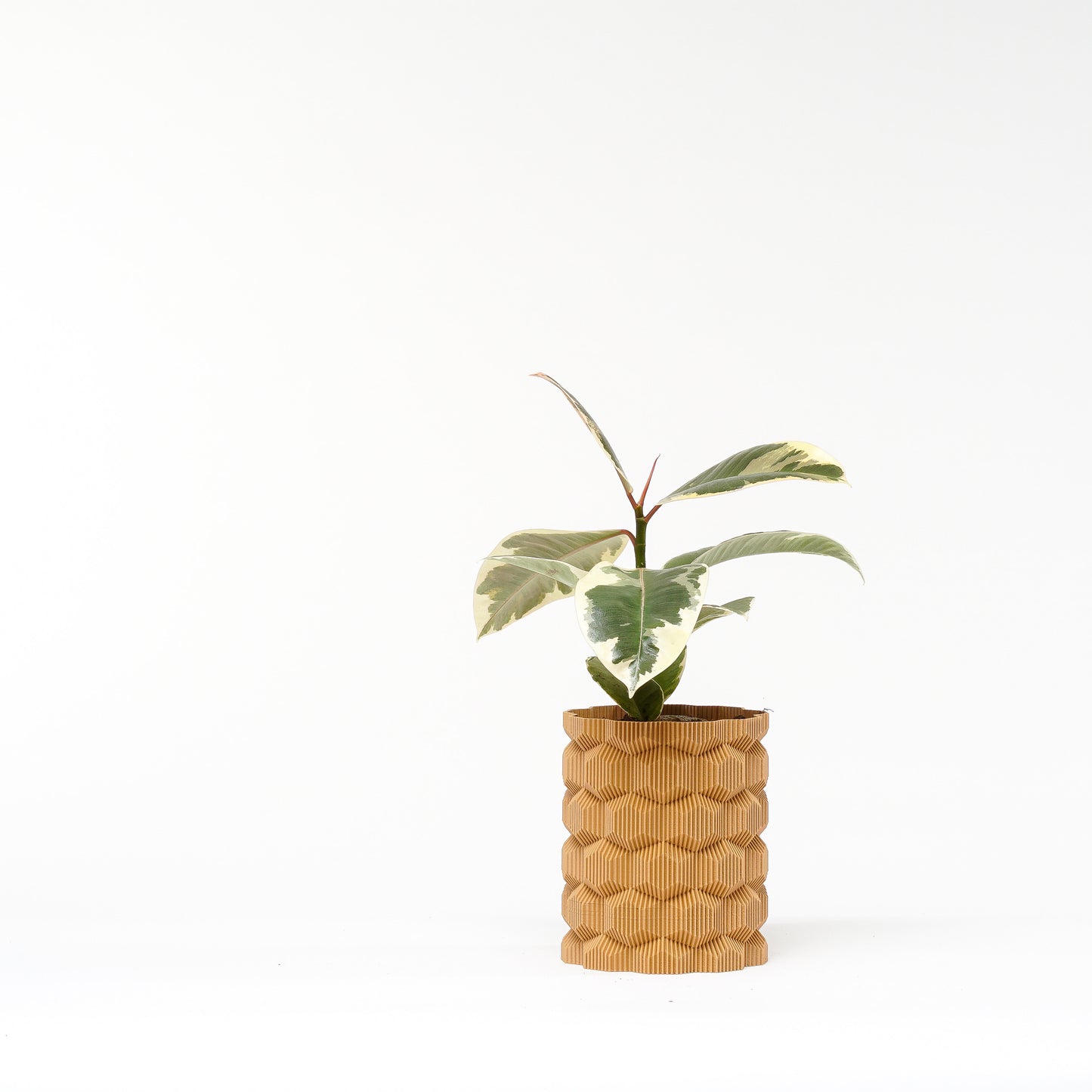 Cubee Planter