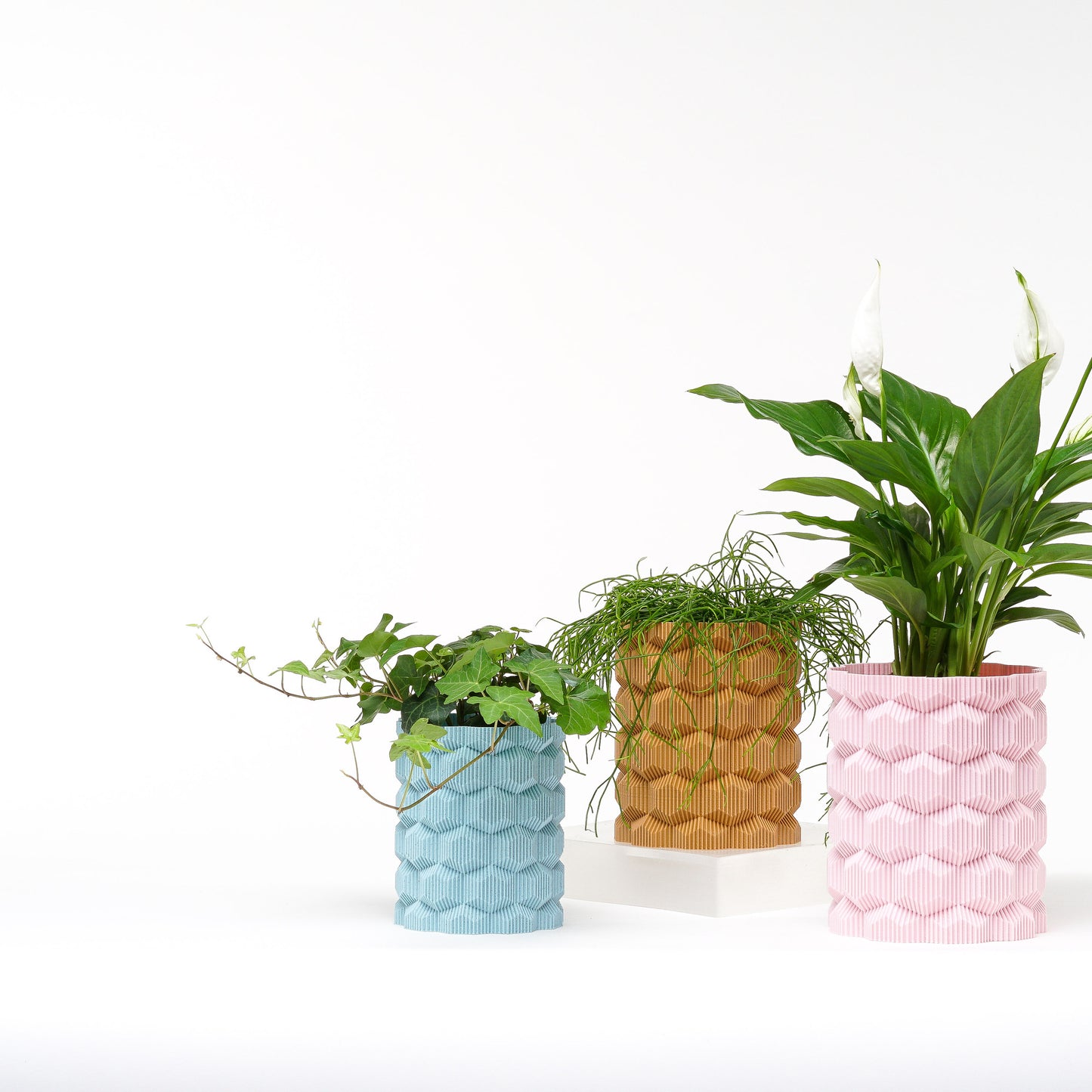 Cubee Planter