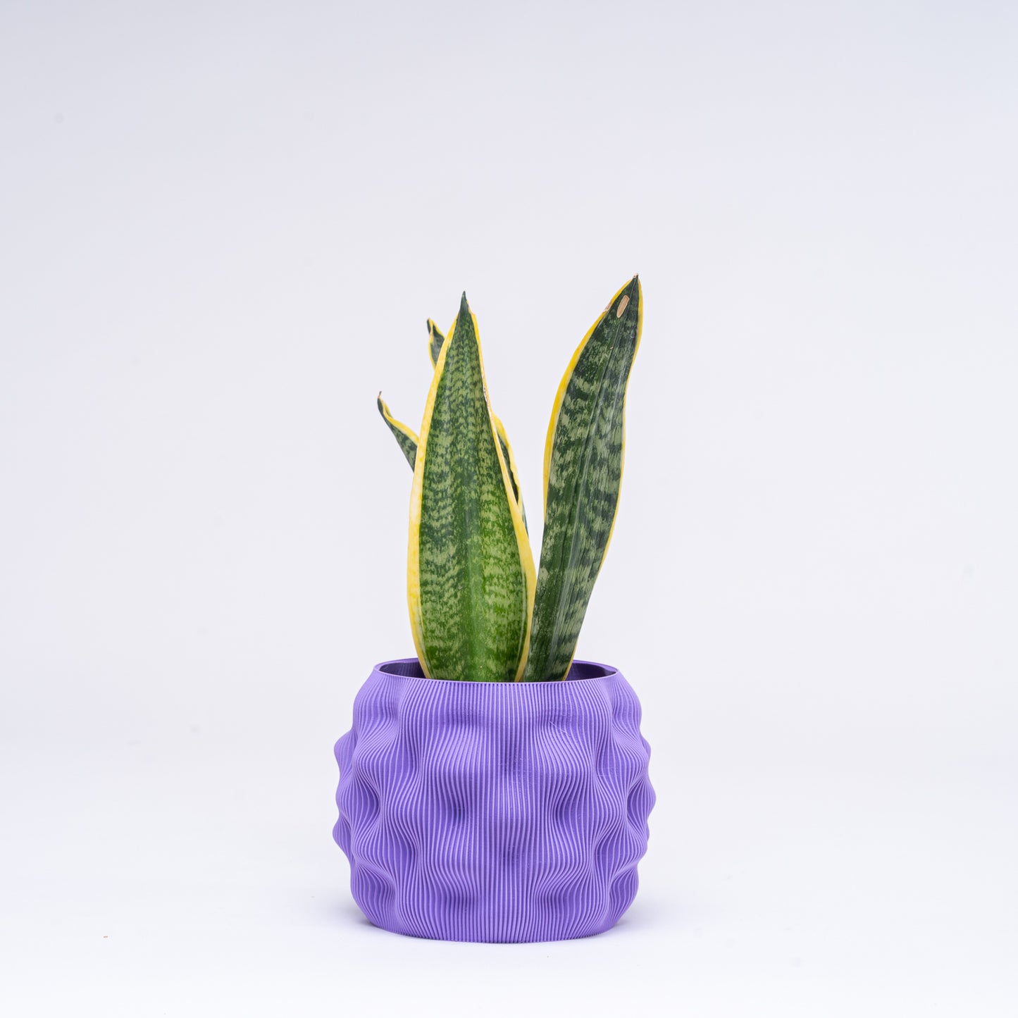Fire Base Planter