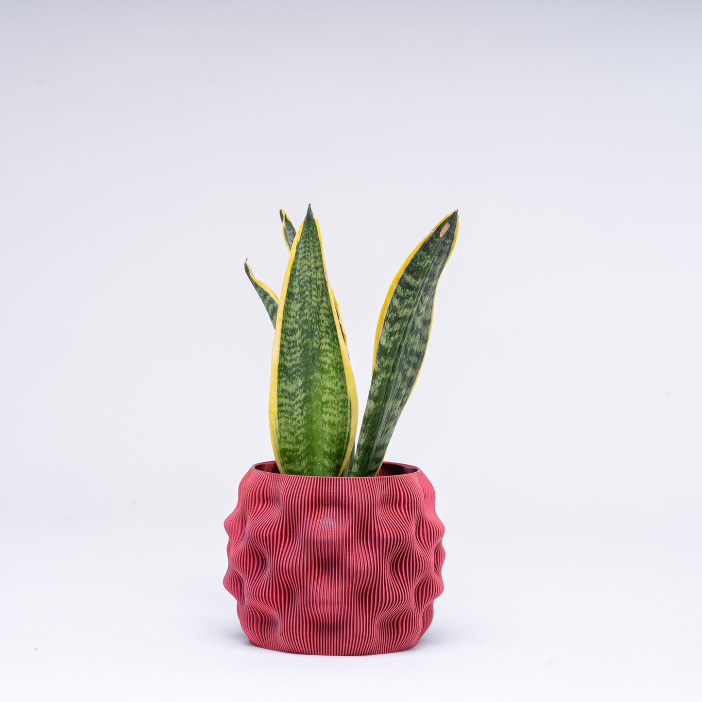 Fire Base Planter