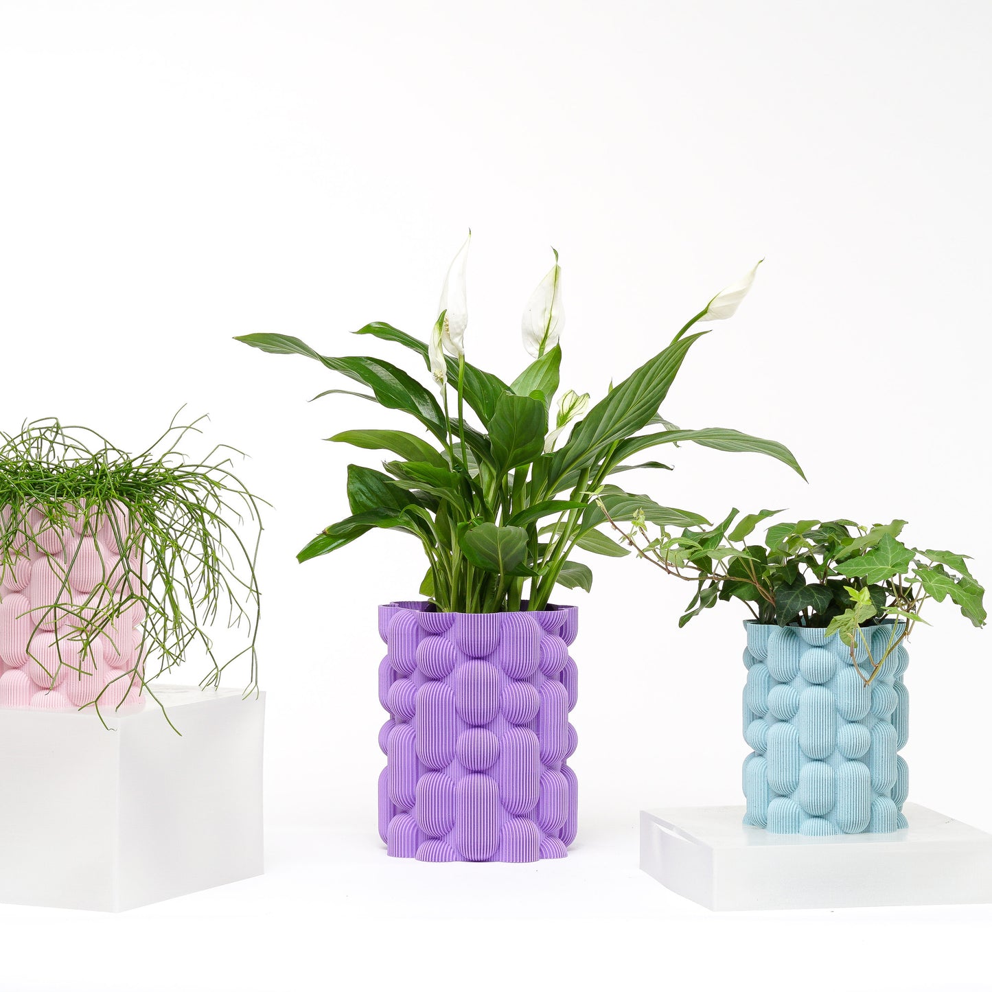 Lava Planter