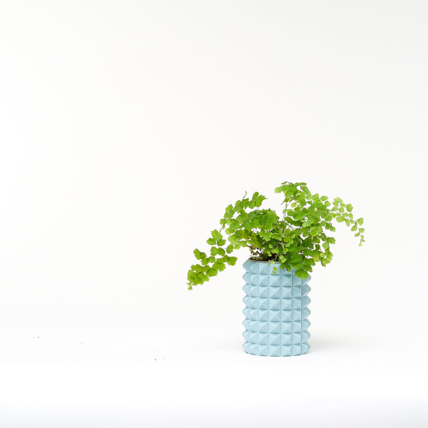 Porcupine Planter