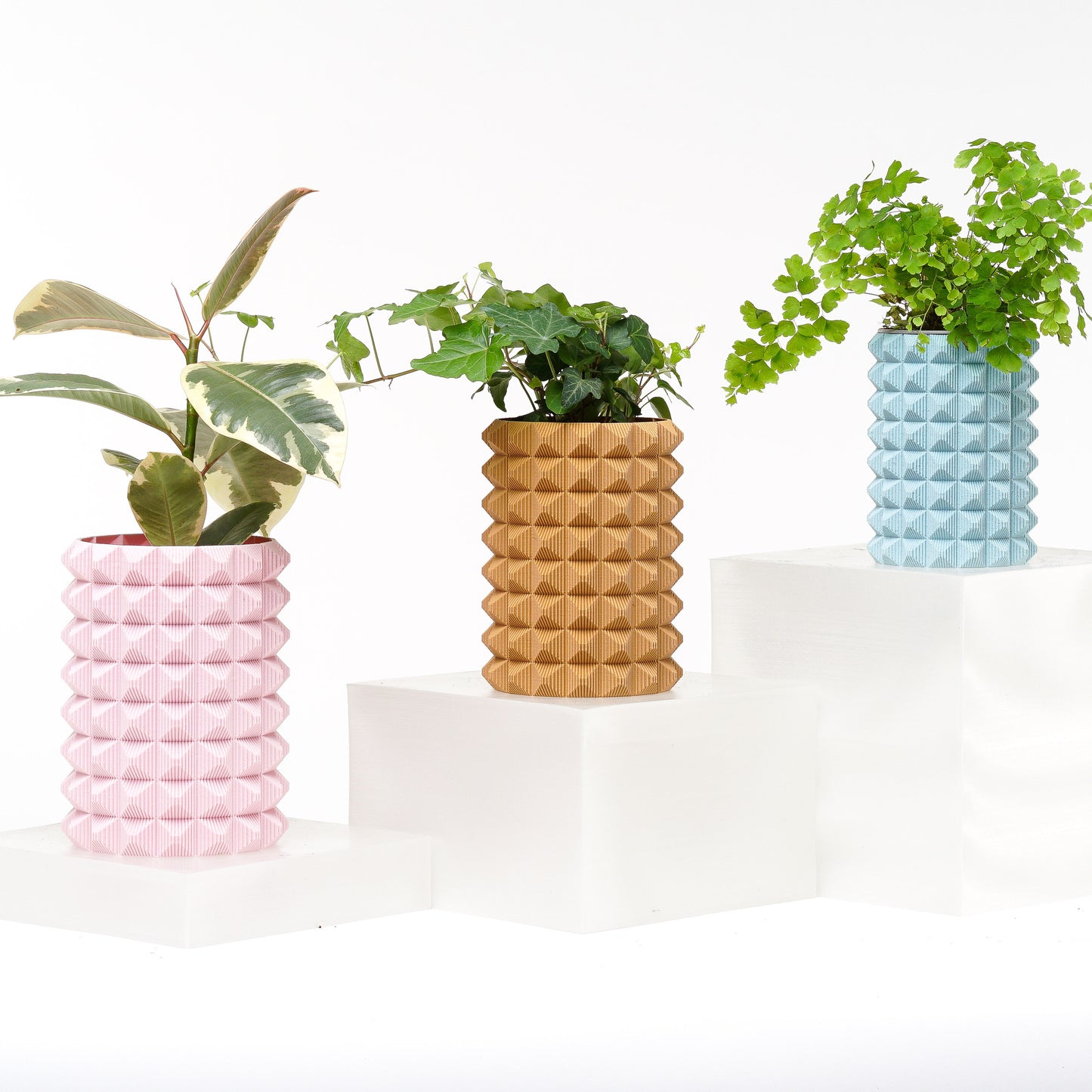 Porcupine Planter