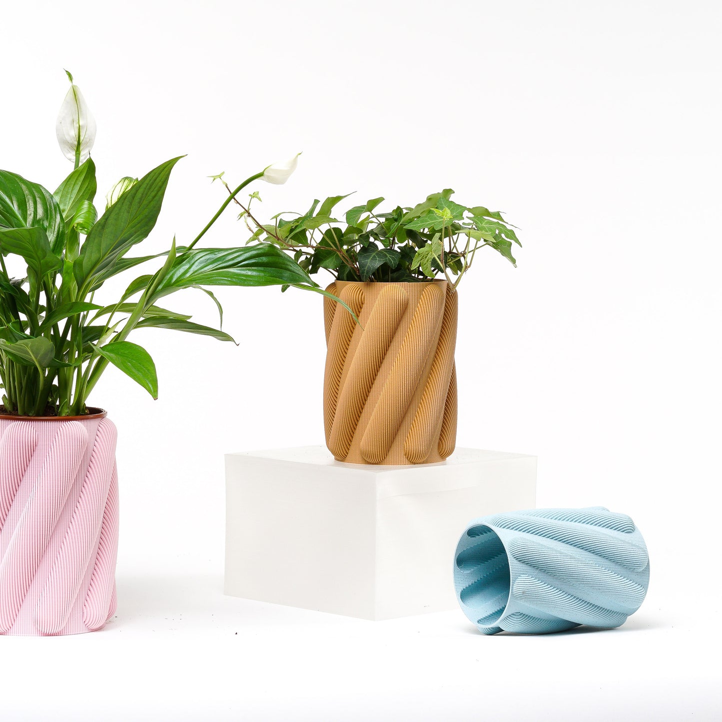 Spaghetti Planter