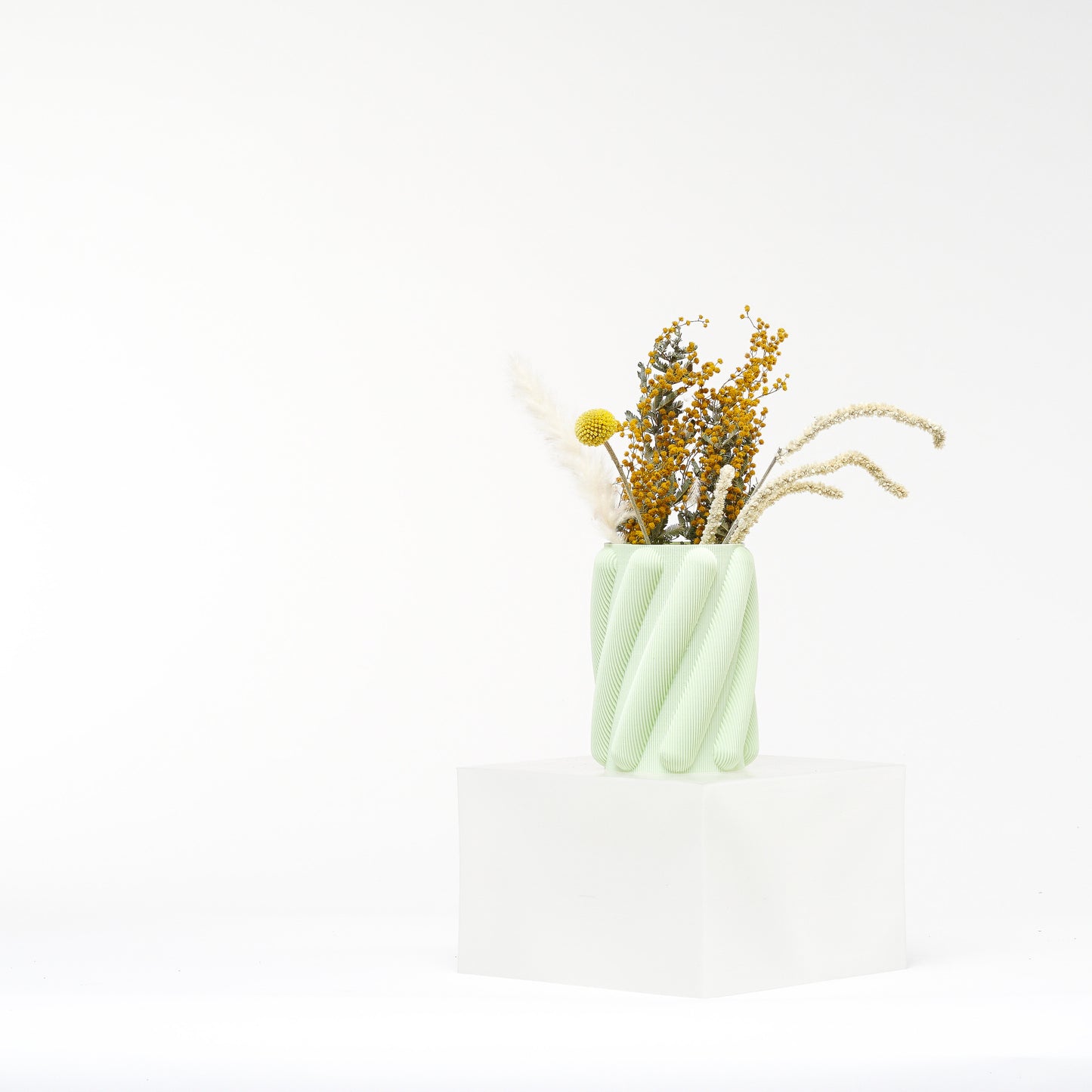 Spaghetti Planter