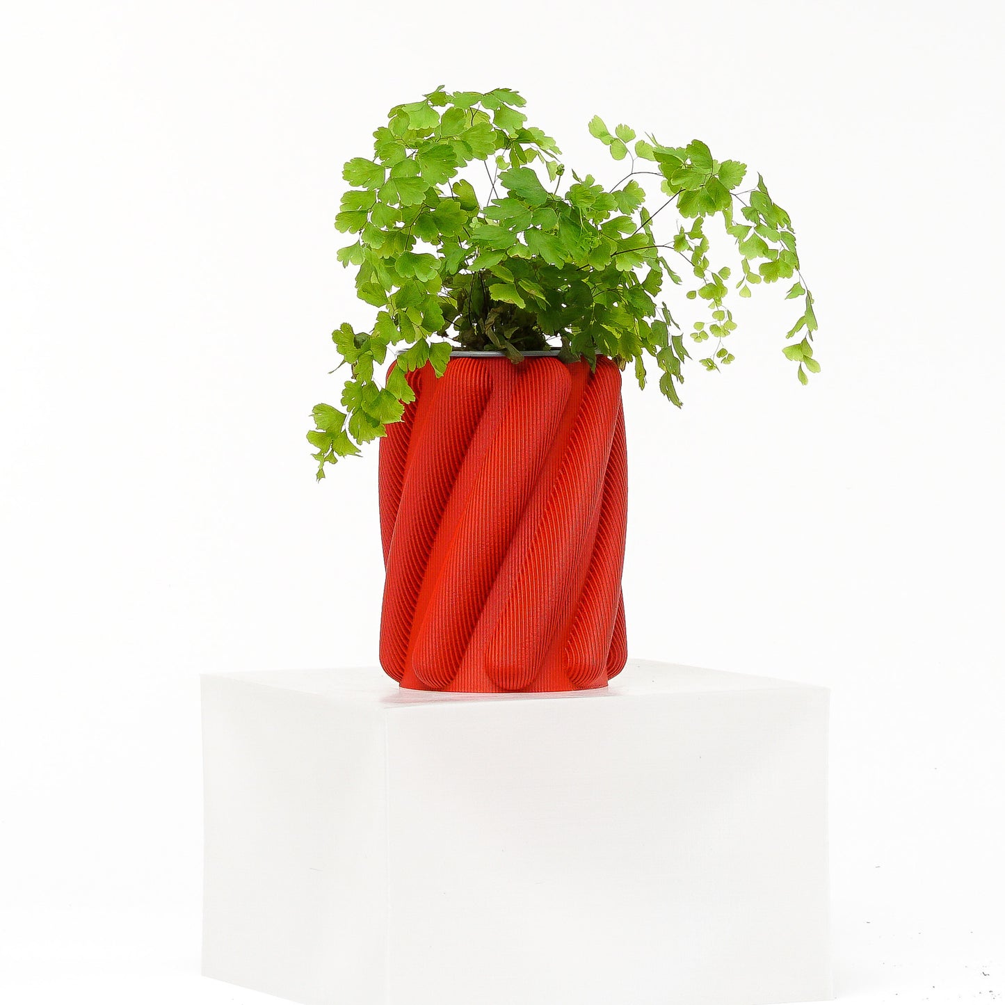 Spaghetti Planter