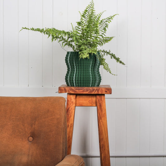 Cacto Planter