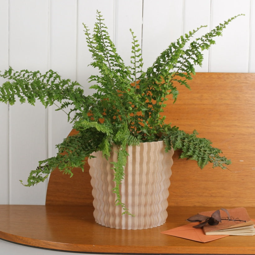 Piña Planter