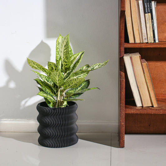 Weego Planter