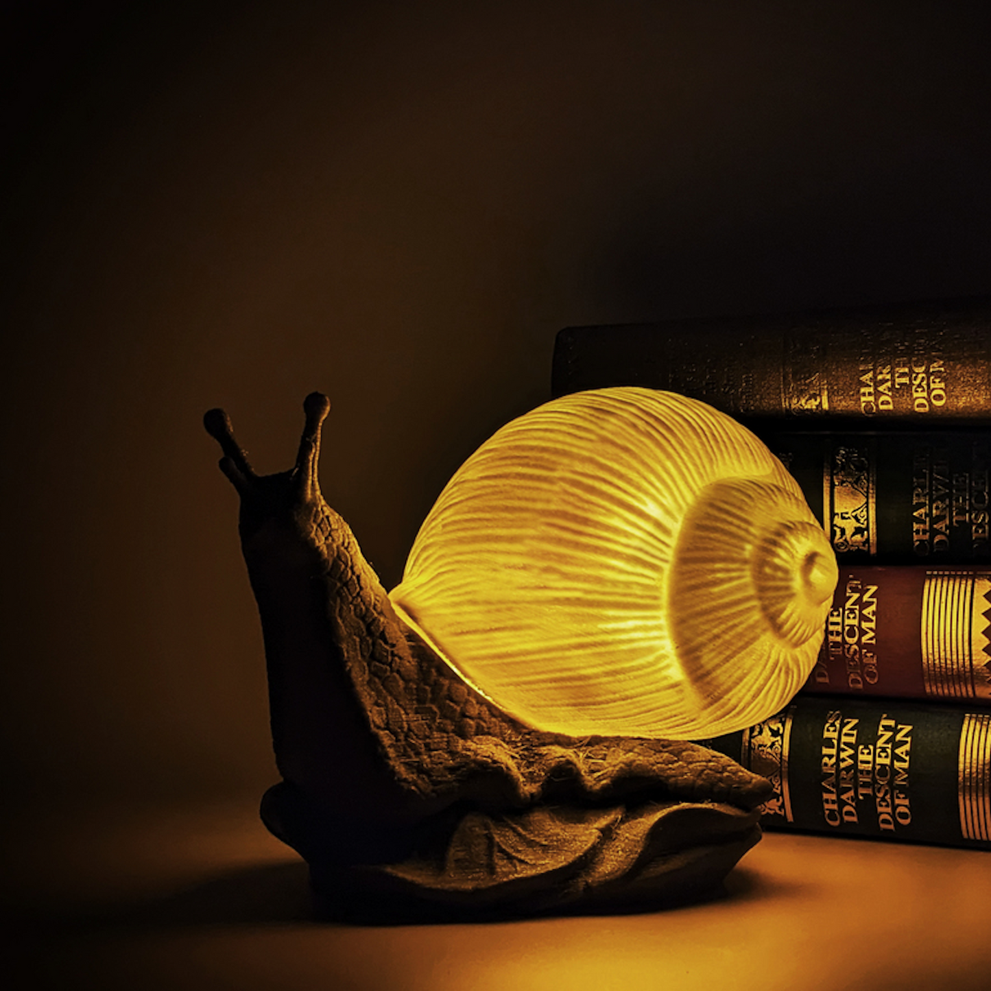 Snail Nightlight