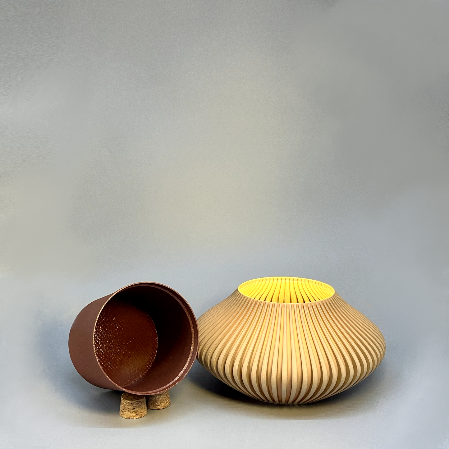 Venus Planter