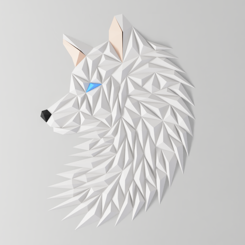 Geometric Fox