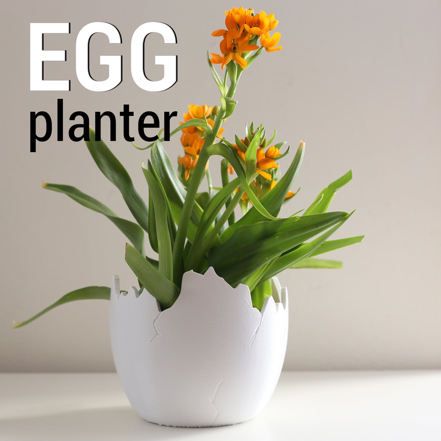The Calimero Planter