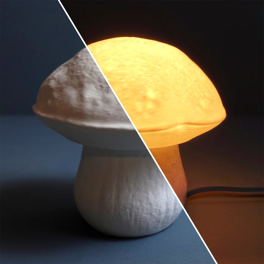 Boletus Edulis Fungus Lamp