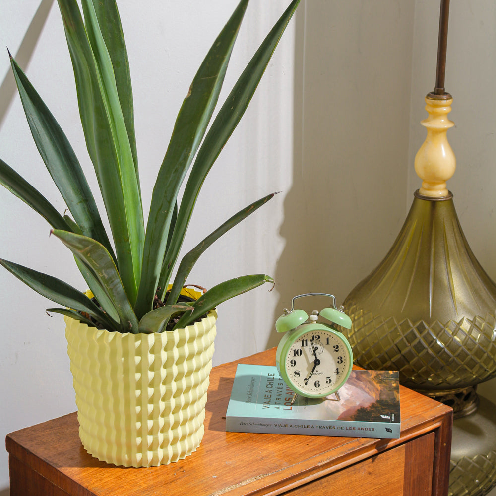 Piña Planter